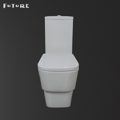 Xả kép 3L 6L Loại rửa xuống Nước Tủ sàn gắn Wc Phòng tắm vệ sinh