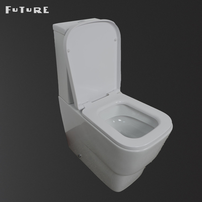 Xả kép 3L 6L Loại rửa xuống Nước Tủ sàn gắn Wc Phòng tắm vệ sinh