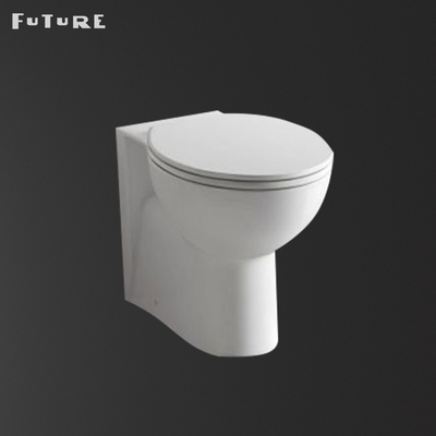 Vòi xả kép 3L 6L nhỏ gọn Back To Wall Wc Rimless Btw Sàn nhà vệ sinh gắn trên