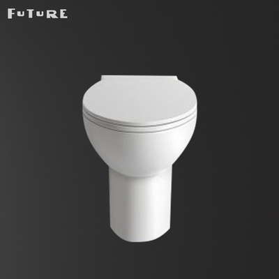 Vòi xả kép 3L 6L nhỏ gọn Back To Wall Wc Rimless Btw Sàn nhà vệ sinh gắn trên