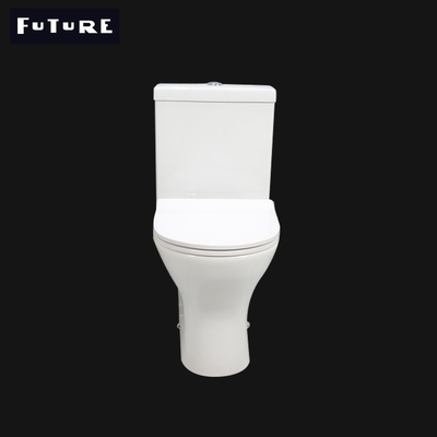 Vòi rửa kép 3L 6L bằng gốm sứ chiếu ngắn vệ sinh 570mm Rửa xuống Wc