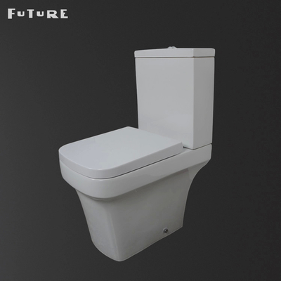 P Trap Tắt tiếng Xả Đóng Phòng tắm kết hợp Sàn nhà vệ sinh Gắn wc ISO9001