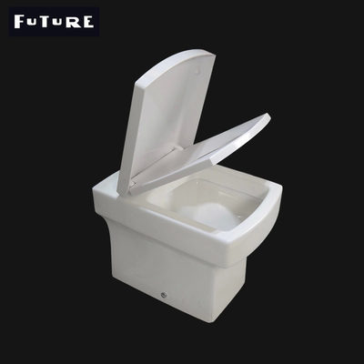 Washdown Flushing Square Close Coupled Toilet Back To Wall Wc Thân thiện với môi trường