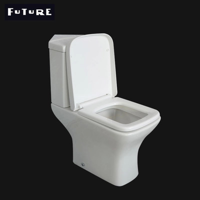 Tiết kiệm không gian Tiêu chuẩn lý tưởng Close Coupled Toilet Washdown Water Closet ISO9001