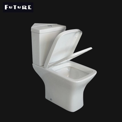 Tiết kiệm không gian Tiêu chuẩn lý tưởng Close Coupled Toilet Washdown Water Closet ISO9001