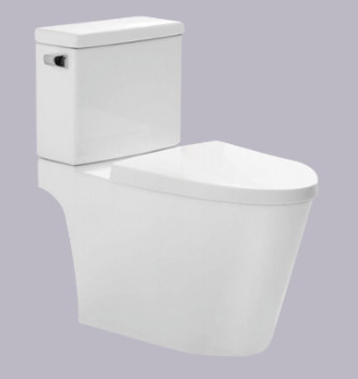 Vận hành tự động Bồn cầu 2 khối với thiết kế tiết kiệm nước S Trap