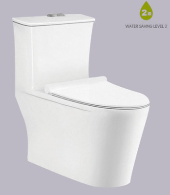 Philippine 700x415x720mm Kích thước S Trap Hệ thống Siphonic Wc Kháng khuẩn