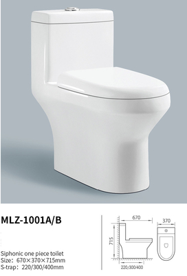 Kinh tế One Piece Water Closet Siphon Flushing Sản phẩm vệ sinh